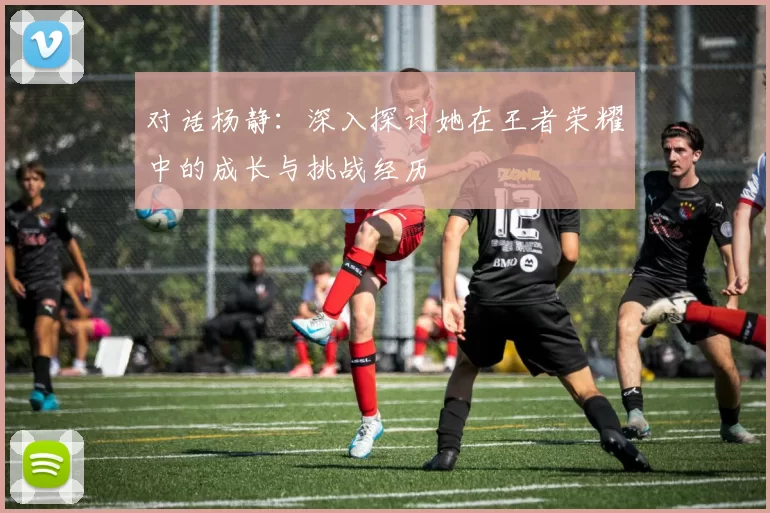 对话杨静：深入探讨她在王者荣耀中的成长与挑战经历