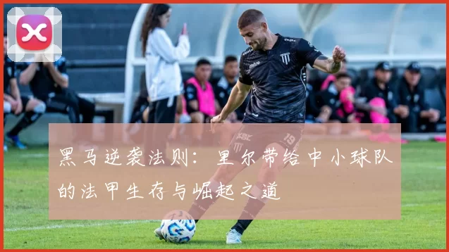 黑马逆袭法则:里尔带给中小球队的法甲生存与崛起之道