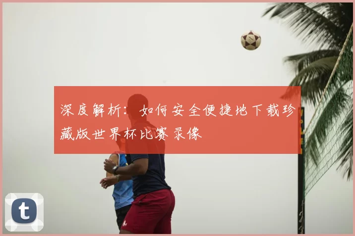 深度解析:如何安全便捷地下载珍藏版世界杯比赛录像