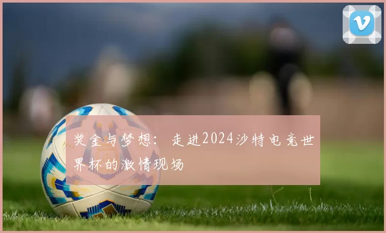 奖金与梦想:走进2024沙特电竞世界杯的激情现场
