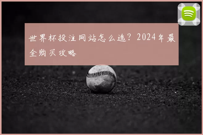 世界杯投注网站怎么选？2024年最全购买攻略