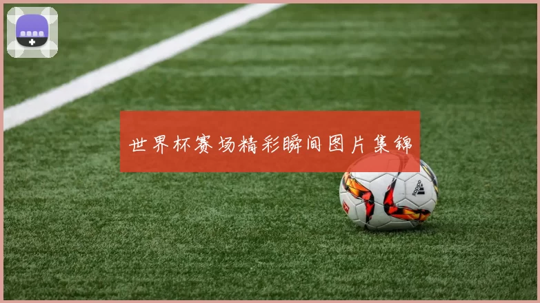 世界杯赛场精彩瞬间图片集锦