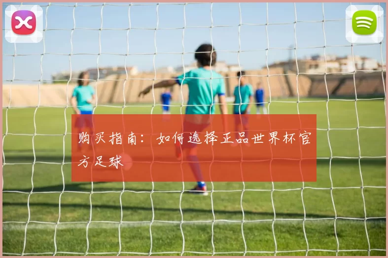 购买指南：如何选择正品世界杯官方足球