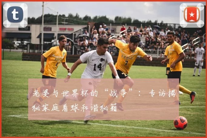 老婆与世界杯的“战争”:专访揭秘家庭看球和谐秘籍