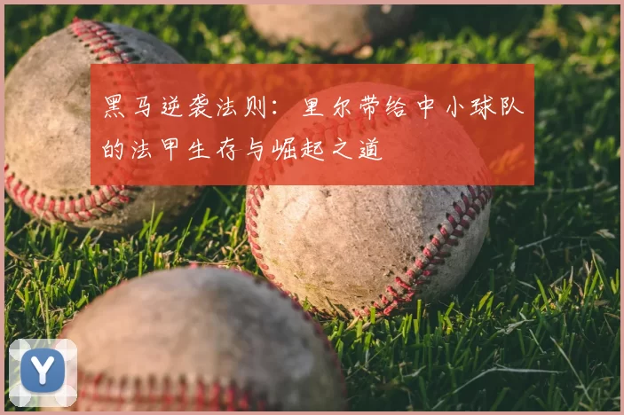 黑马逆袭法则:里尔带给中小球队的法甲生存与崛起之道
