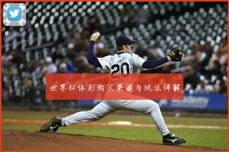 世界杯体彩购买渠道与玩法详解
