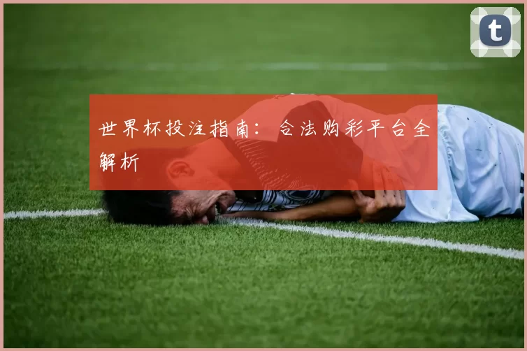 世界杯投注指南:合法购彩平台全解析