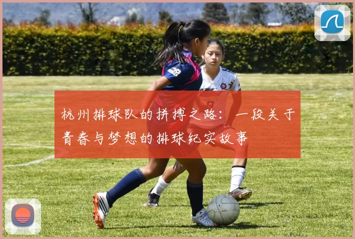 杭州排球队的拼搏之路：一段关于青春与梦想的排球纪实故事