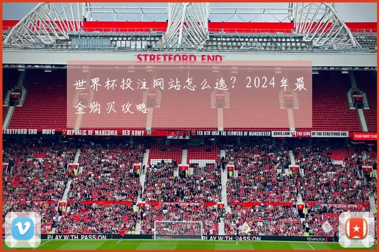 世界杯投注网站怎么选？2024年最全购买攻略